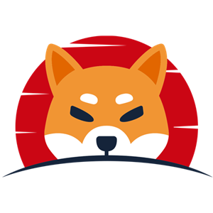 The team behind Shiba has partnered with the internet domain company D3inc to apply for a ‘.shib’ domain in the old domain name system of the internet